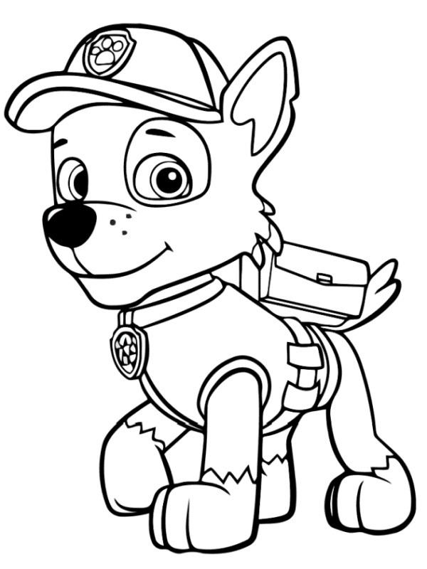 Paw patrol Rocky Fargeleggingsside Paw patrol Rocky Fargeleggingsside