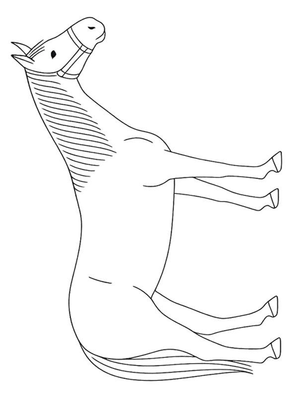Quarter horse Fargeleggingsside Quarter horse Fargeleggingsside