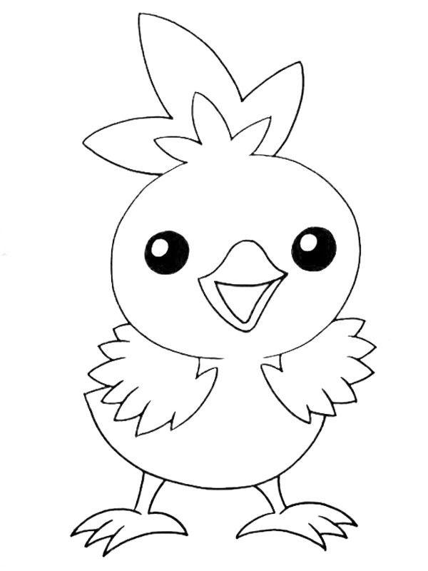 Torchic Fargeleggingsside Torchic Fargeleggingsside