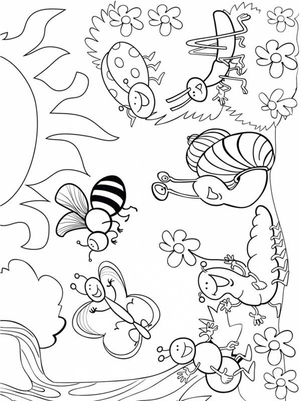 Diverse insekter Fargeleggingsside Diverse insekter Fargeleggingsside